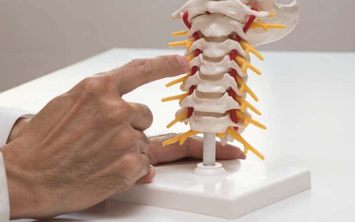 chiropractic explanation - better health chiropractic in New York NY