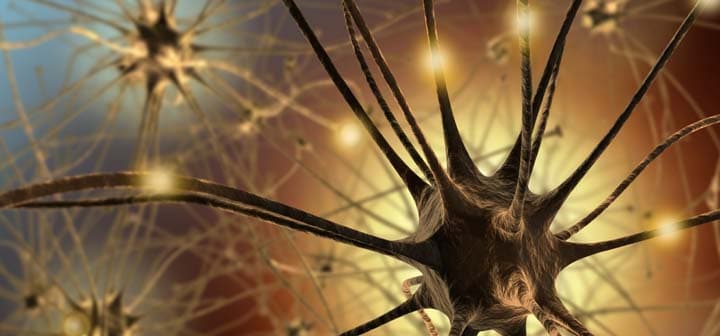neurons responding to stress stimuli